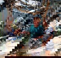 Maleny Botanic Gardens Bird Aviary Experience Ticket - Newcastle Accommodation