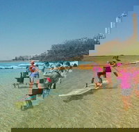 Golden Beach 1-Hour Stand-Up Paddleboard Hire on the Sunshine Coast - Newcastle Accommodation