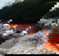 Noosa River Cruise for 3 to 4 people on a Classic Mahogany Speed Boat - 90 min. - Newcastle Accommodation