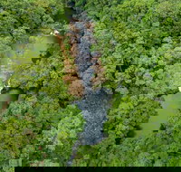 Full-Day Guided Hinterland Adventure Tour in Queensland - Newcastle Accommodation