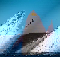 Whale Watching Cruise from Mooloolaba - Newcastle Accommodation