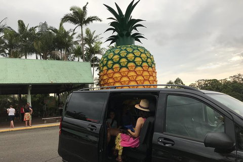 Private Transfer From Noosa To Sunshine Coast Airport For 1 To 4 People - Newcastle Accommodation 4