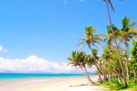 Airport Transfer - Mission Beach To Cairns Airport - New Castle Tourism 3