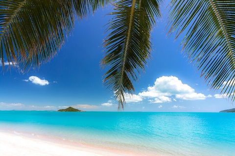 Reef, Wildlife & Rainforest - Reef & Beyond Guided Holidays - New Castle Tourism 4