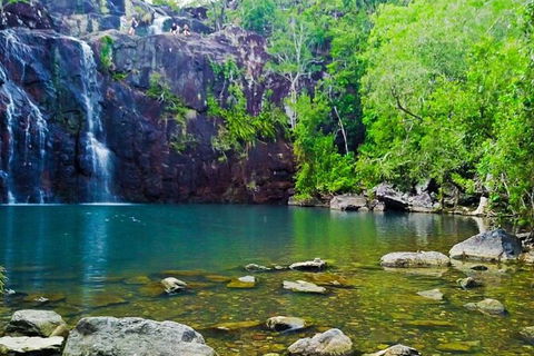 Reef, Wildlife & Rainforest - Reef & Beyond Guided Holidays - New Castle Tourism 0