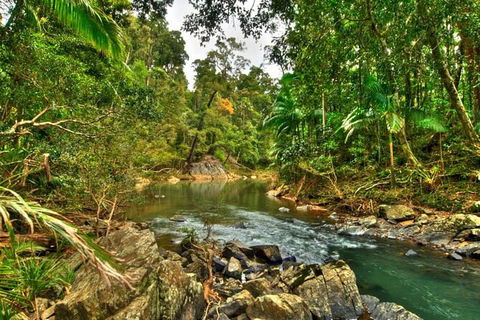 Reef, Wildlife & Rainforest - Reef & Beyond Guided Holidays - New Castle Tourism 3