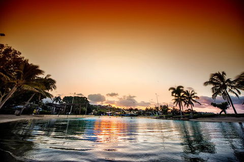 Reef, Wildlife & Rainforest - Reef & Beyond Guided Holidays - New Castle Tourism 6