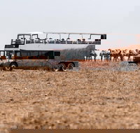 Nogo Station Experience - Newcastle Accommodation