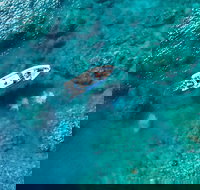 Premium Private Charter