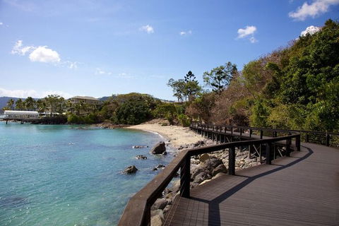 Rainforest To Reef Experience - Reef And Beyond Guided Holidays - New Castle Tourism 4