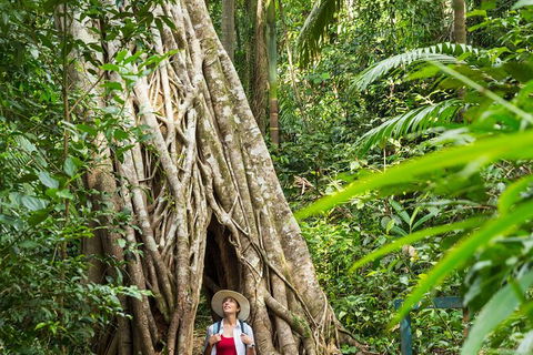 Rainforest To Reef Experience - Reef And Beyond Guided Holidays - New Castle Tourism 2