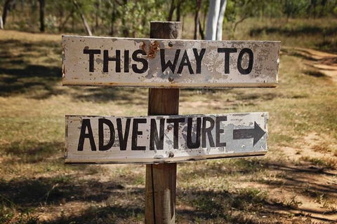 Rainforest To Reef Experience - Reef And Beyond Guided Holidays - New Castle Tourism 6