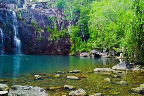 Rainforest To Reef Experience - Reef And Beyond Guided Holidays - New Castle Tourism 5