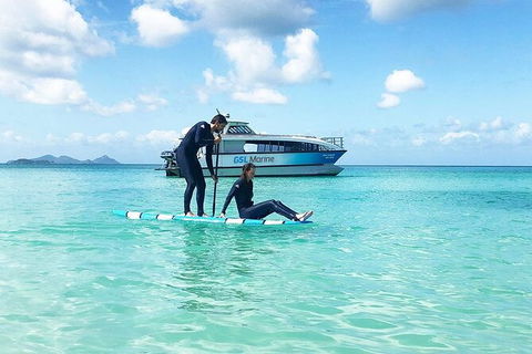 Rainforest To Reef Experience - Reef And Beyond Guided Holidays - New Castle Tourism 3