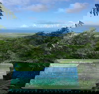 Daintree Luxury Limousine Tour - Full Day - New Castle Tourism