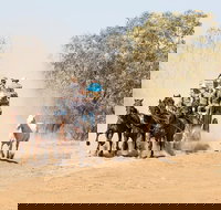 Cobb and Co Stagecoach Experience - Newcastle Accommodation