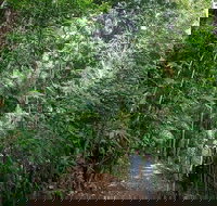 Private Group Eco Tour