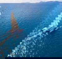 2-Night Whitsunday Islands Sailing Adventure on Trimaran 'Avatar'