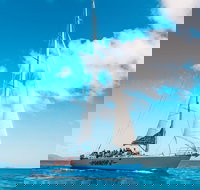 3 Day and 2 Night Whitsundays Maxi Sailing Adventure on Hammer