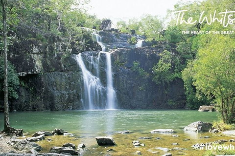 Chasing Waterfalls In The Whitsunday\'s Full Day Tour - Newcastle Accommodation 23