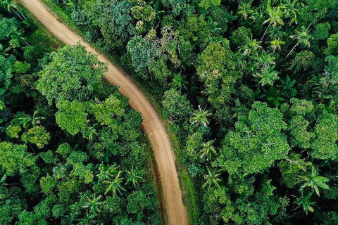 Chasing Waterfalls In The Whitsunday\'s Full Day Tour - Newcastle Accommodation 5