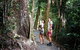 Chasing Waterfalls In The Whitsunday\'s Full Day Tour - thumb 19