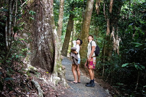 Chasing Waterfalls In The Whitsunday\'s Full Day Tour - Newcastle Accommodation 19