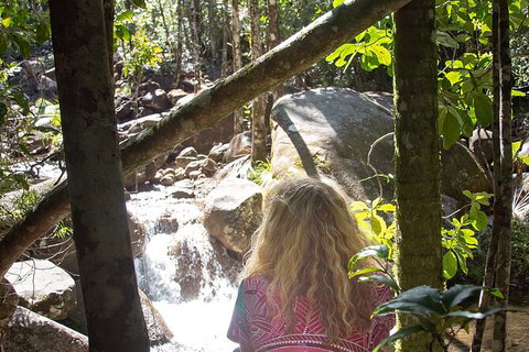 Chasing Waterfalls In The Whitsunday\'s Full Day Tour - Newcastle Accommodation 17