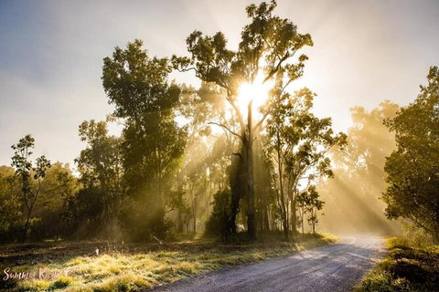 Chasing Waterfalls In The Whitsunday\'s Full Day Tour - Newcastle Accommodation 20