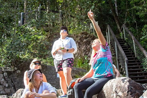 Chasing Waterfalls In The Whitsunday\'s Full Day Tour - Newcastle Accommodation 4