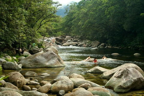 Port Douglas Daintree National Park Boutique Full-Day Tour - New Castle Tourism 2