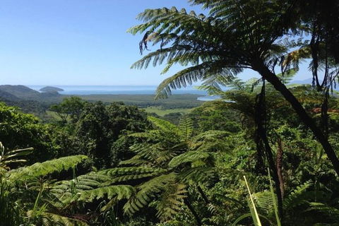 Port Douglas Daintree National Park Boutique Full-Day Tour - New Castle Tourism 1
