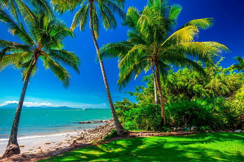 SHUTTLE - Port Douglas And Craiglie Return Transfer - New Castle Tourism 2