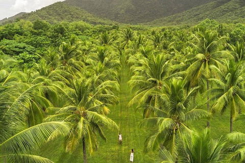 SHUTTLE - Thala Beach And Turtle Cove From Port Douglas (Return Transfer) - New Castle Tourism 1