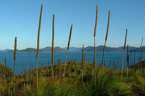 7-Day Private Sea Kayaking In Whitsundays - Newcastle Accommodation 8