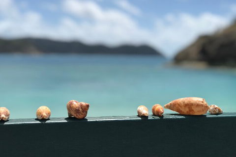 7-Day Private Sea Kayaking In Whitsundays - Newcastle Accommodation 1