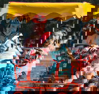 Unique 4 Wheeler Surrey Bike Rental - Newcastle Accommodation