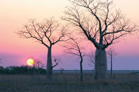 8-Day Outback Experience From Queensland - New Castle Tourism 0
