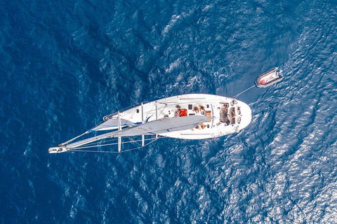 Small-Group Queensland Full-Day Sail Retreat Experience - Newcastle Accommodation 5
