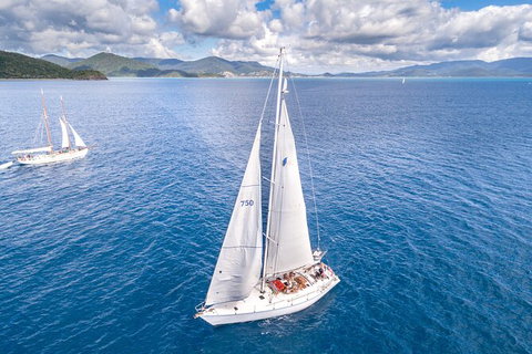 Small-Group Queensland Full-Day Sail Retreat Experience - Newcastle Accommodation 6