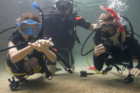 Scuba Kids- Padi Bubblemaker Course - Newcastle Accommodation 4