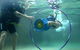 Scuba Kids- Padi Bubblemaker Course - thumb 5