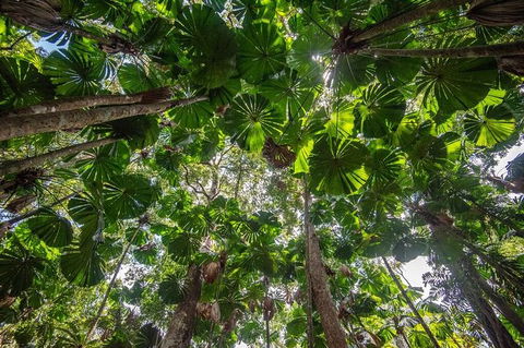 5 Day Australia Retreat: Queensland Daintree - Newcastle Accommodation 4