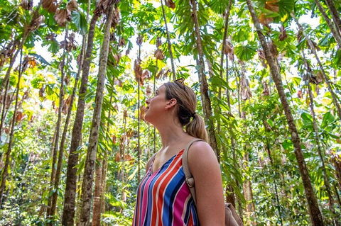 5 Day Australia Retreat: Queensland Daintree - Newcastle Accommodation 3