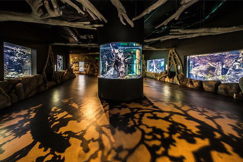 Cairns Aquarium By Twilight With 3 Course Dinner - New Castle Tourism 7