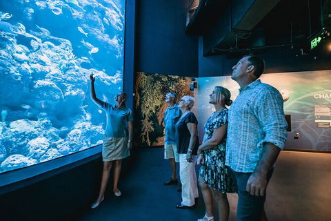 Cairns Aquarium By Twilight With 3 Course Dinner - New Castle Tourism 0