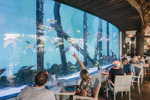 Cairns Aquarium By Twilight With 3 Course Dinner - New Castle Tourism 1