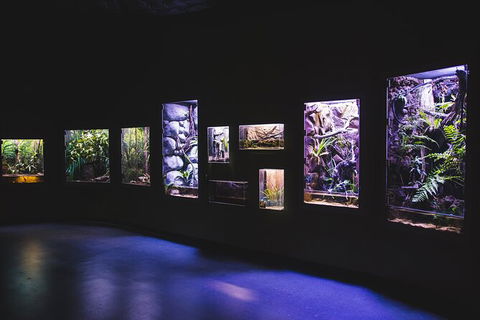 Cairns Aquarium By Twilight With 3 Course Dinner - New Castle Tourism 3