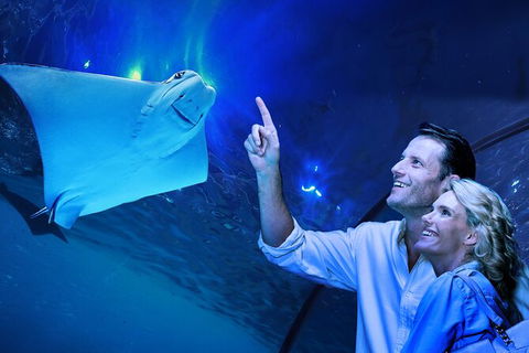 Cairns Aquarium Tour By Twilight With Drink And Appetiser - Newcastle Accommodation 0