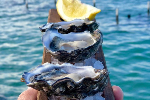 Coffin Bay Oysters, Ocean & Nature Tour - Newcastle Accommodation 0